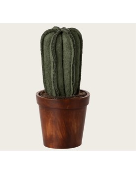 Blumentopf mit Kaktus