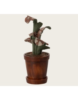 Blumentopf mit Pflanze