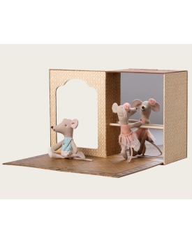 Ballettmäuse im Tanzstudio, Kleine Schwester und kleiner Bruder