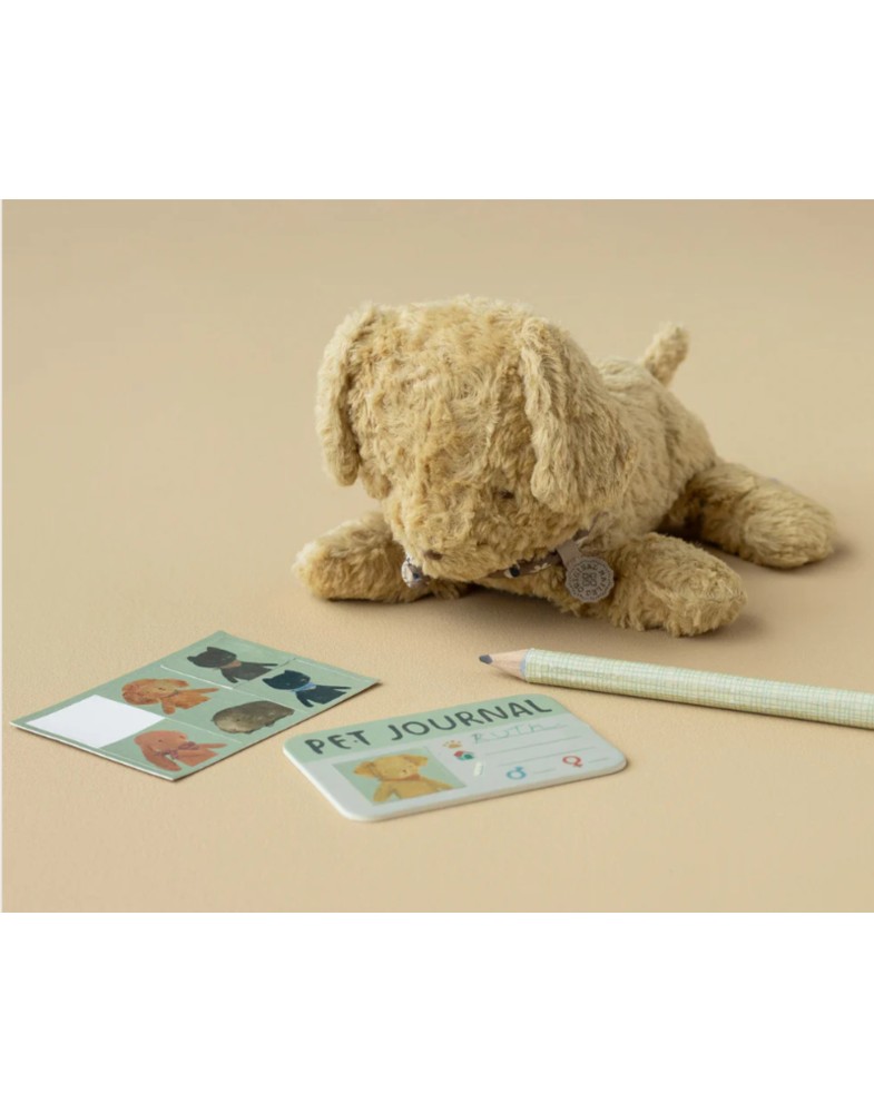 Haustier Transportbox, Klein - Koralle