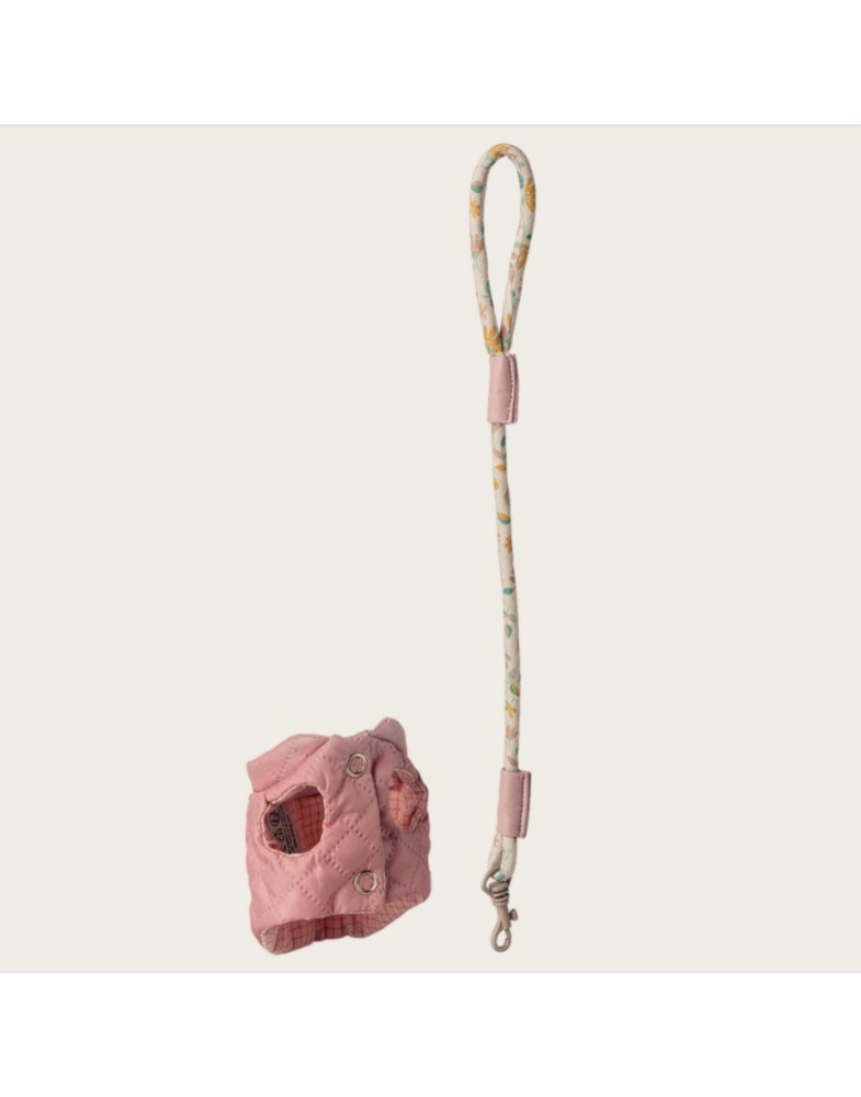 Haustierhalsband und Leine, Rosa